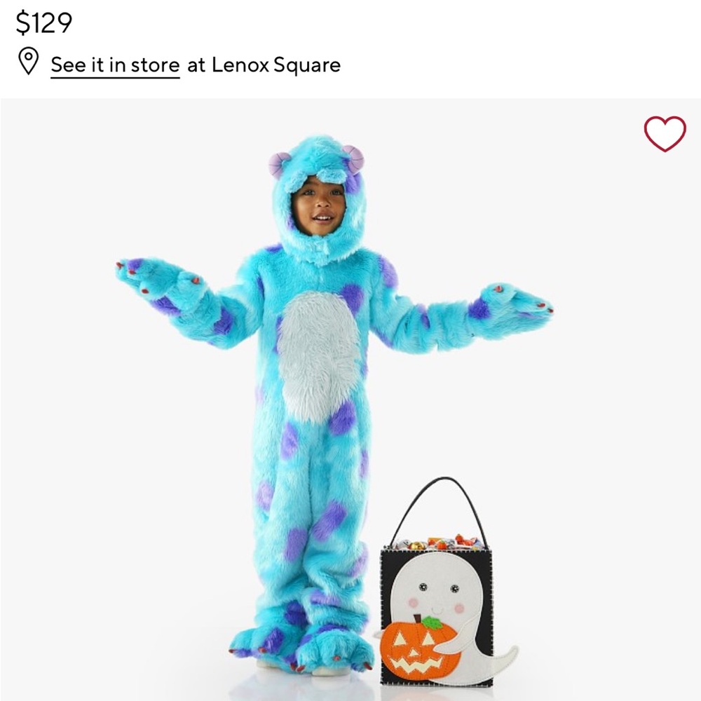Pottery Barn Sully from Monster’s Inc Costume